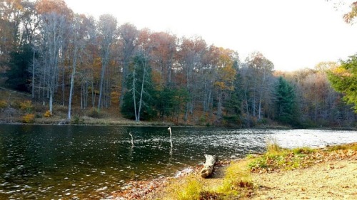 fuxit:  My aunt sent me these from her hike, I miss Ohio during the fall, it’s so beautiful😟🙊 