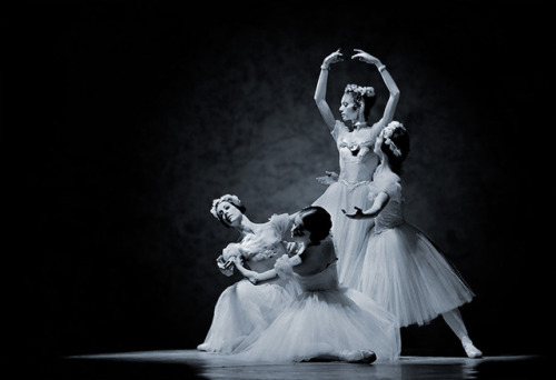 galina-ulanova:Jerilyn Dana, Bonnie Wyckoff, Ellen O'Reilly and Elaine Bauer in Pas de Quatre (Bosto