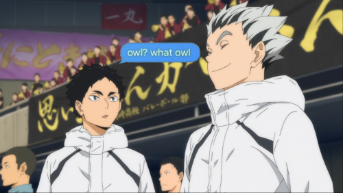 mod bokuto