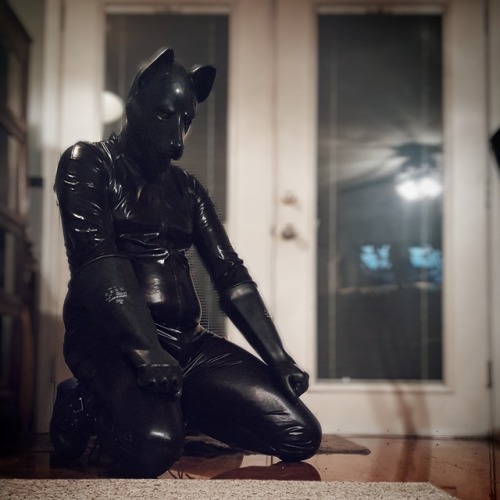 Sex pupursus:Puppy needed to get slinky again… pictures