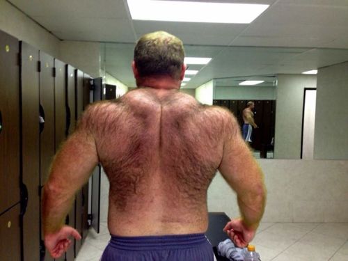 Saudi Arabia bears