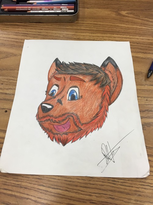 dexterbear97: @artimues the fox Wow! No one has ever drawn me a picture before! Thank you so much De