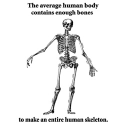 scienceshenanigans:  WHAT 