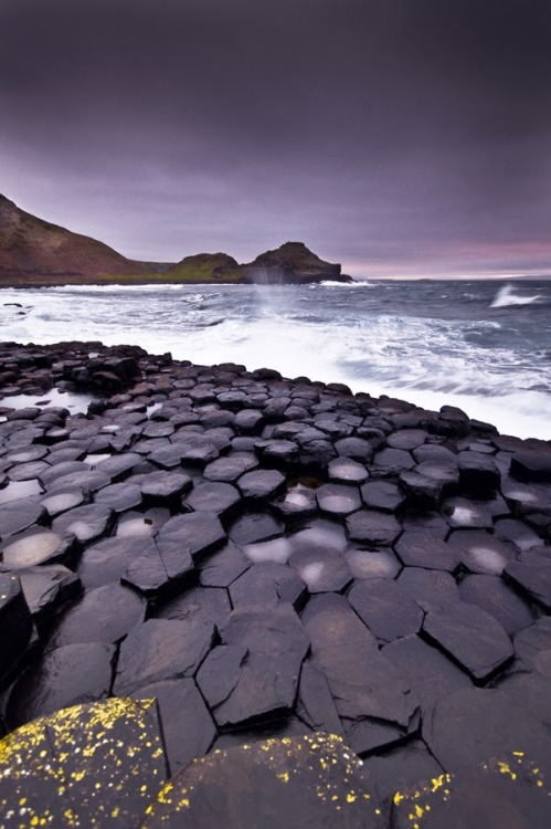 innerbohemienne:  The Giant’s Causeway in Antrim, Ireland is an area of about 40,000 interlocking basalt columns, the result of an ancient volcanic eruption about 50-60 million years ago. As the lava cooled, it contracted; the size of the columns is