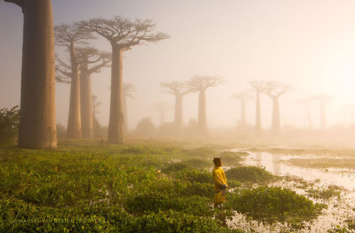 buggirl:  awesome-picz:    National Geographic’s Top Photos Of 2015.  Beauty 