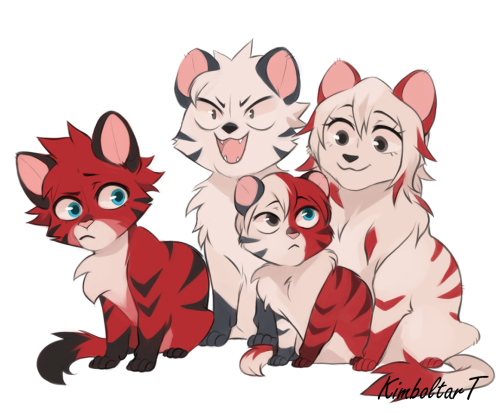 kimboltart: Todoroki cats