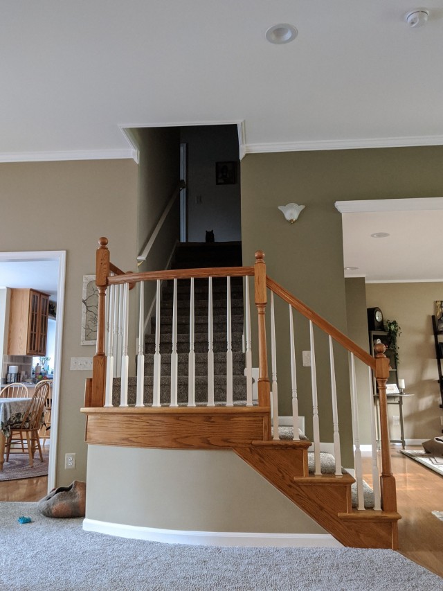 A photo of a staircase in a house. There is a dark silhouette of a cat at the top of the stairs.