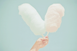 Ryeou:  Cotton Candy Love (By Joyhey) 