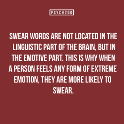 psych2go:  If you like more of this, follow @psych2go​.