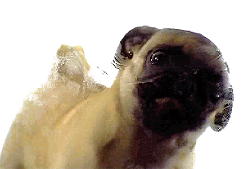 caitlandia