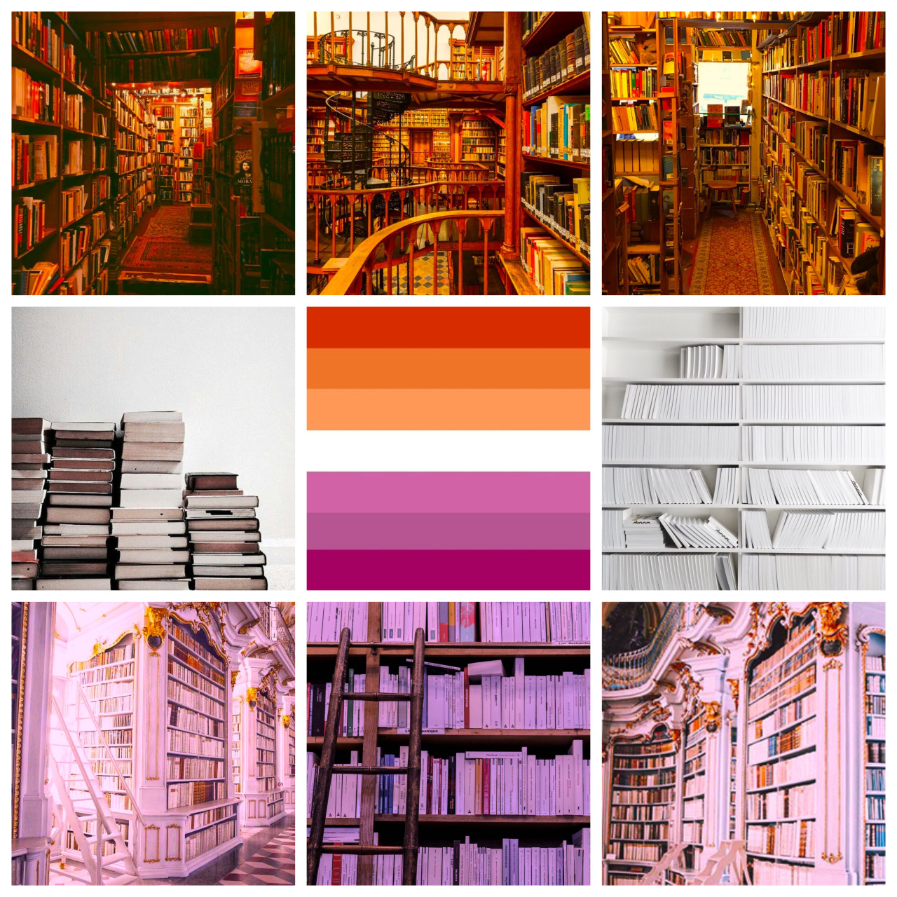 Library lesbian moodboard for @why-so-queer-dear #lgbt#lgbtq#lgbtqia#lesbian#aesthetic#moodboard#mood board#library#book#books