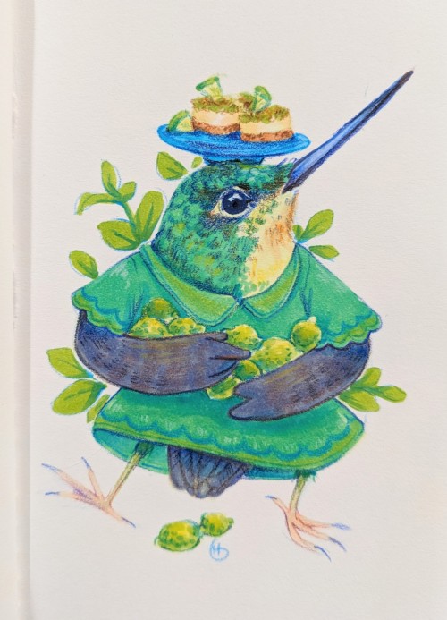 Avian August Day 9 - Glittering Starfrontlet Pistachio Lime Cheesecakes