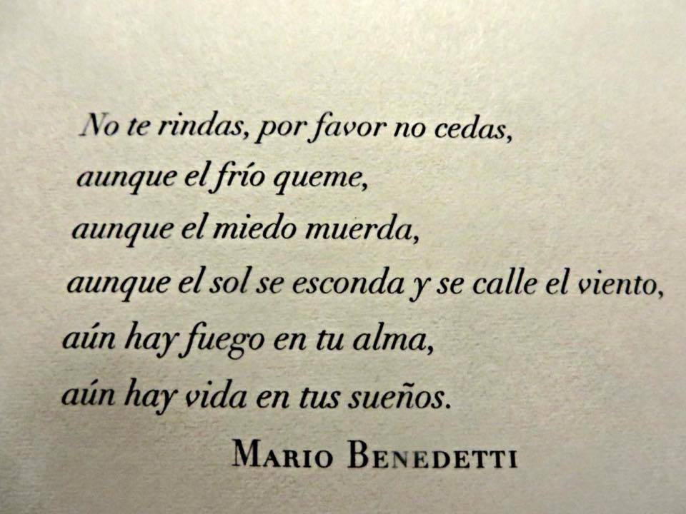 en-momentos-de-inspiracion:  No te rindas.