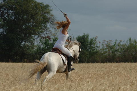 cantering-bareback:le-thoroughbred:dirty-britches:ibelieveintheunderdogx:talkdontchangeathing:equine