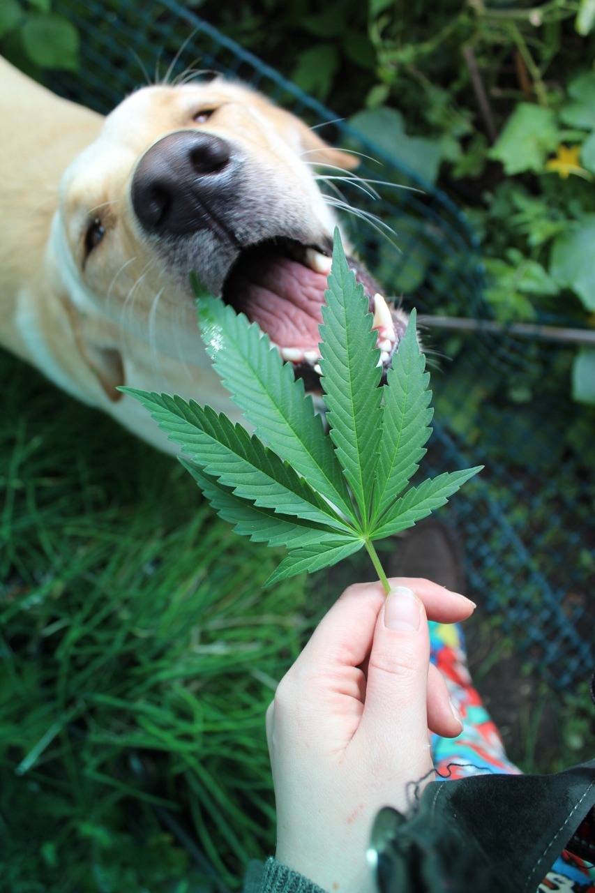 brndns-baked:  Same lol
