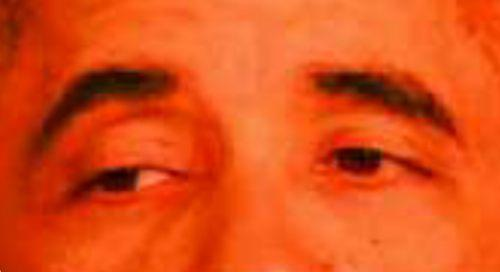 joule:  lotor: if you trade me for sam holt zarkon will kill me :(pidge: