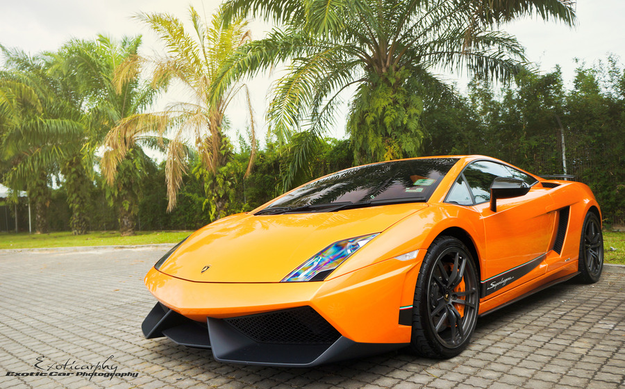 automotivated:  (via 500px / Photo “Lamborghini Gallardo Superleggera LP570-4.”