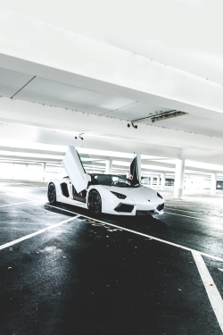 luxuryera:  Roadster.