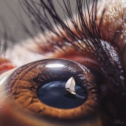 kennyrivas:  Eye Sail by Raaz Photography