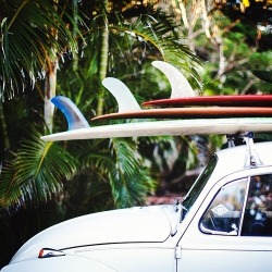 Surfing-In-Harmony:   ✌  