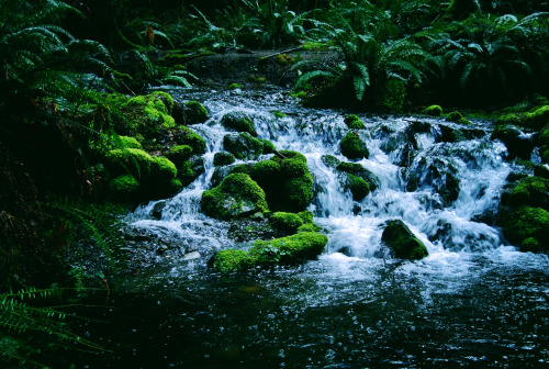 tuaari: pretty little magical faerie waterfall ♡