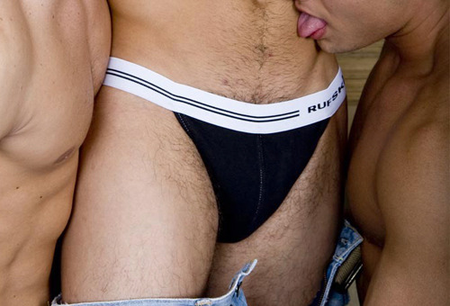Dedicated Follower of Bulges