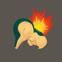 lupiter:  Cyndaquil