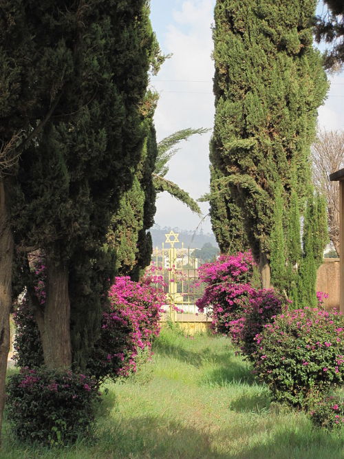 ethiopia-and-eritrea:Asmara Synagogue, Eritrea.(The last picture is of the cemetery)