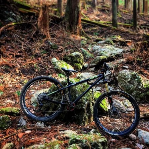 beefmtb: 昨日は有給とって秩父にMTBライドしにいってました。トレッキング中に見つけた面白そうな所散策的な感じのソロライドでした。ロックセクションが多くて頭使う感じのルートでした。 #mtb 