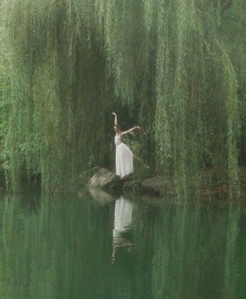 bellasbowlingshirt: Alice Cullen as the local cryptid aestheticCus didn’t Alice basically just