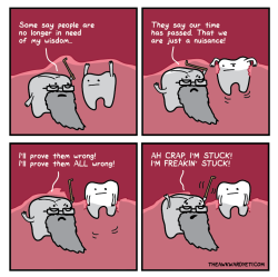 tastefullyoffensive:  [theawkwardyeti]