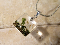 chaerea:  Pixie Cup Lichen (Cladonia sp.) and Moss (Dicranoweisia?) Necklace, Moss Jewelry, Plant Jewelry, mycology, fungi, woodland, nature 