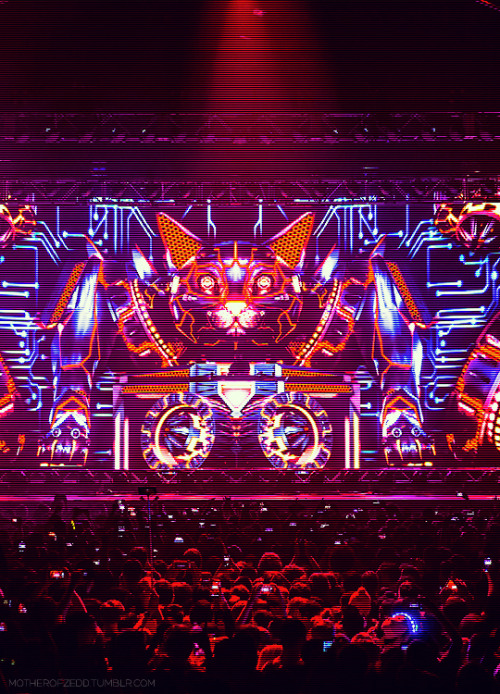 motherofzedd:  Robo Kitty ! Photo by: rukes.com