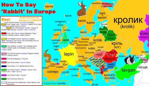 maps-oe: How To Say ‘Rabbit’ In Europe, with EtymologyThis is an improved version o