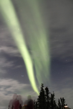 annadownsouth:  The northern lights were the number one thing on my bucket list, so I like to pull out the pictures every now and then so I can relive how stunning they were.