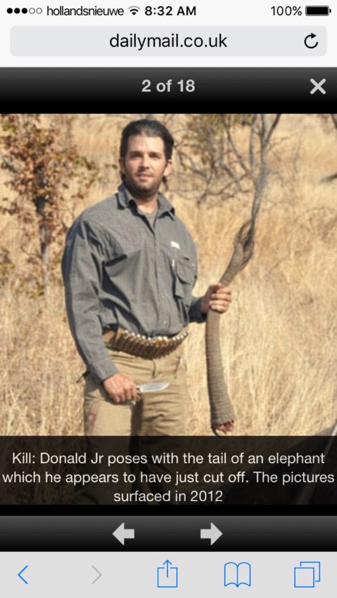 bitterbitchclubpresident: sugarndgahwa:  donald trump’s sons kill (endangered)