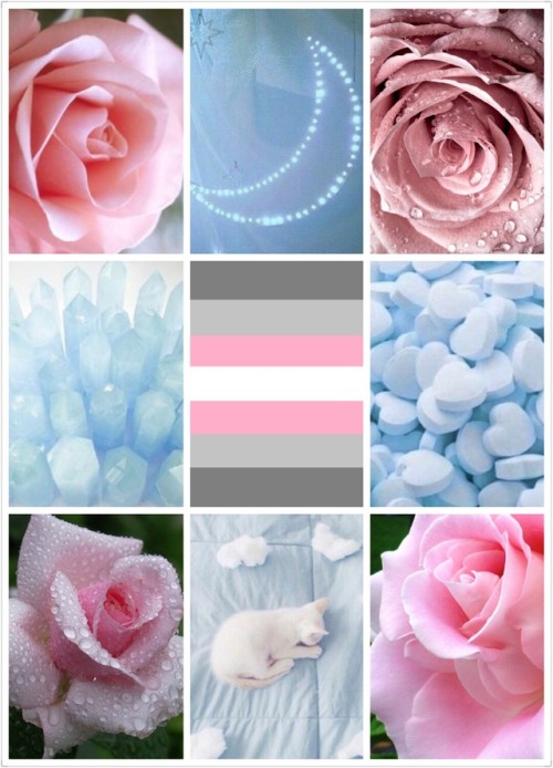 lgbtqia-moodboards: Demigirl+pastel blue+roses for @gracefulgamer2812 -Mod Hooper