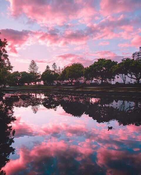 happilyteens:ugh this is so beautiful