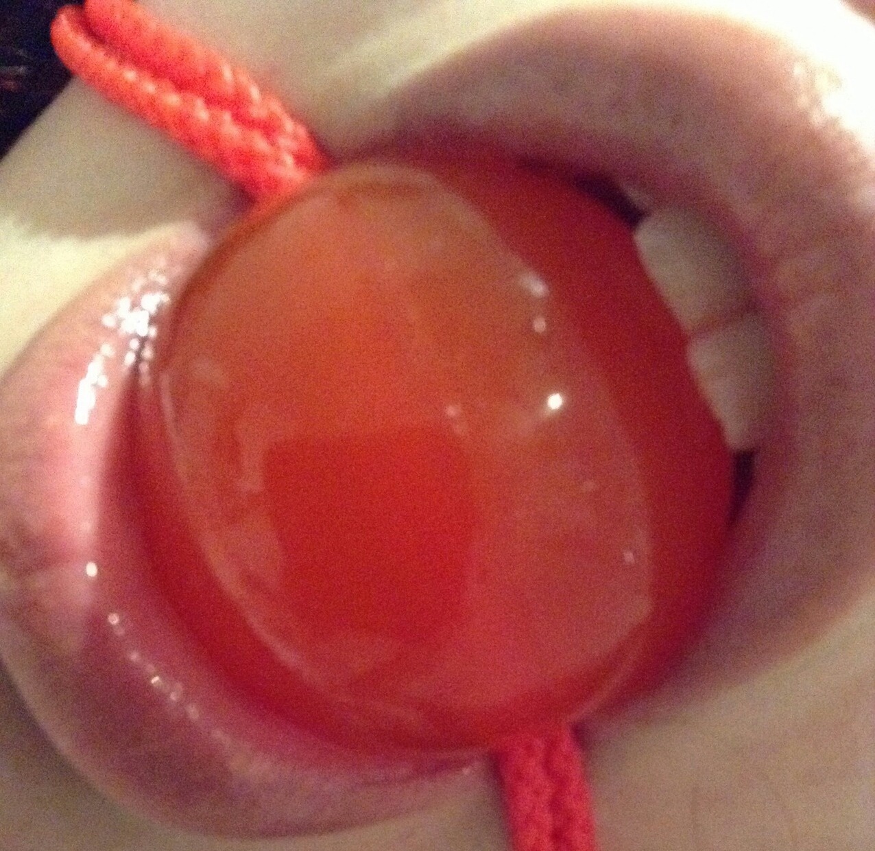 burgerfarms:  I took these for someone but I would rather tumblr have them xoxo
