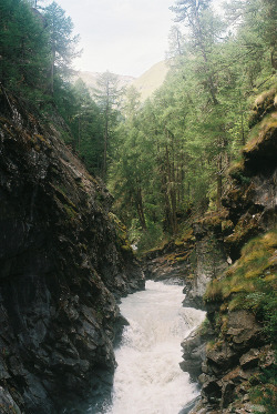 eartheld:  captivesouls:  Nature  mostly