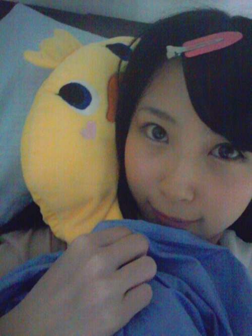 高柳明音 - Google+ 今日もおやすみたいむ。 しばらく載せてなかったけど とりまくら いつも一緒です 今日も一緒です＼(^^)／ おぴゃす。