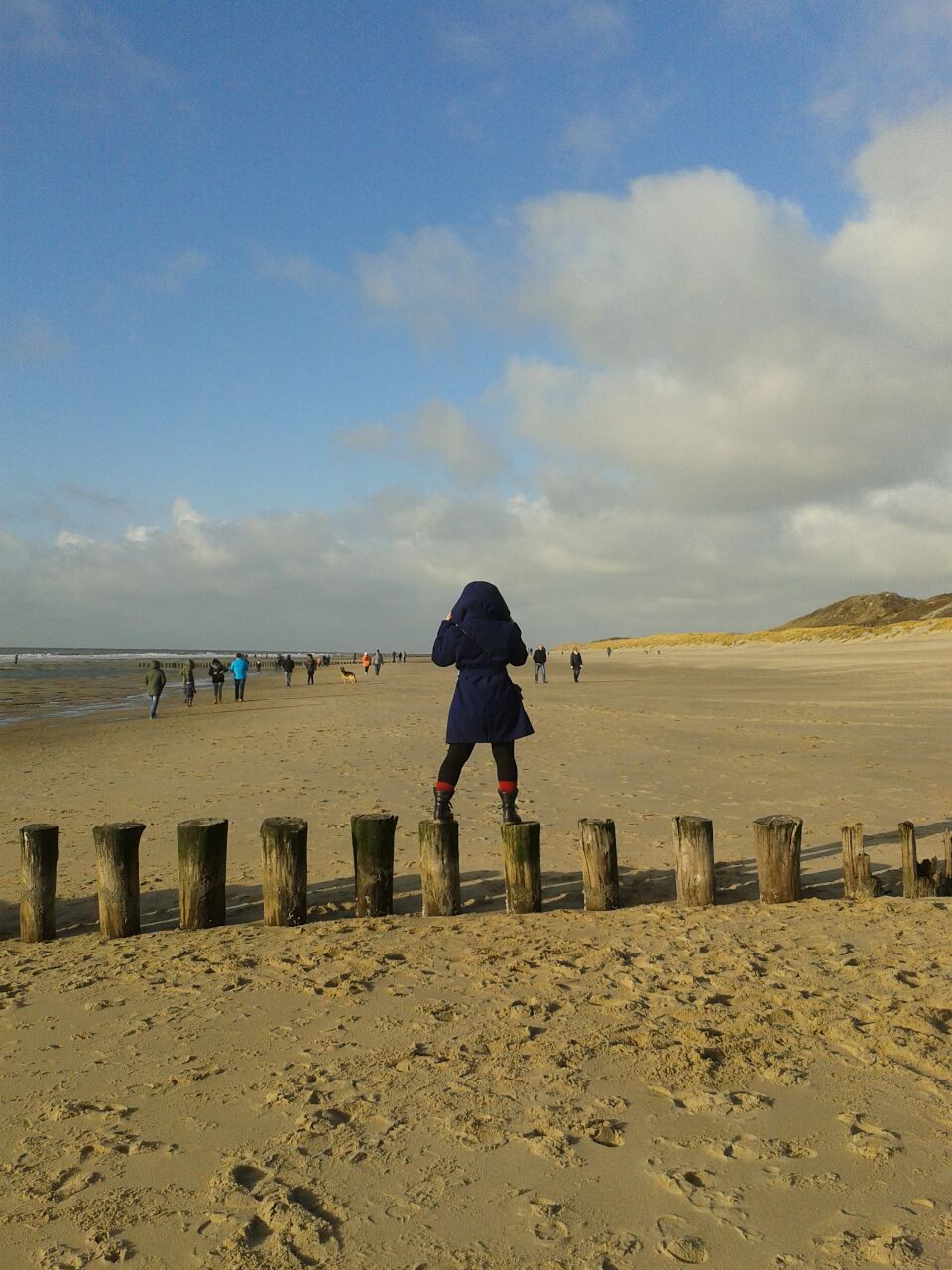 we went to the beach it was fun i got to run around with a bunch of happy dogs