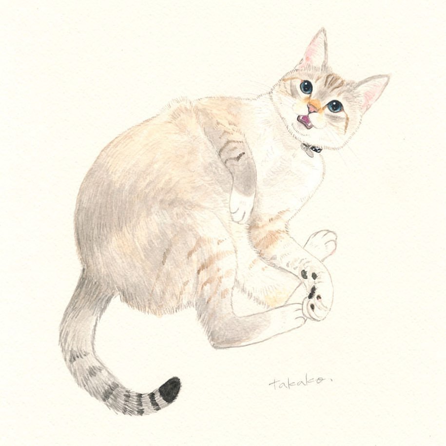 Takako Ide Illustration ハニャー 本日の猫 ニコル 猫イラスト 水彩画 シャムミックス
