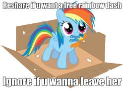 ask-pony-companion-cube:  ask-giant-scootaloo: