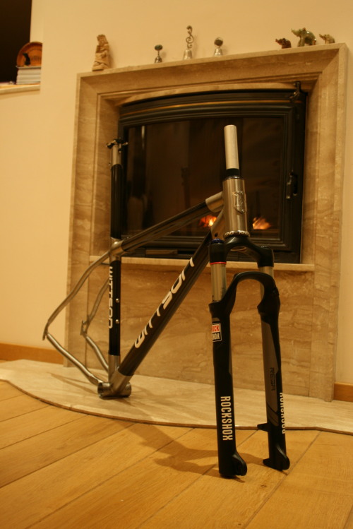 wittson:  WITTSON Custom XC 29er 014- custom cross country race geometry- oversized internally butte