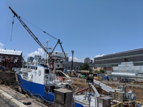 Week Ten: August 14th, 2018 marked the last Tuesday outingof the first ever Citi-sponsored Brooklyn 