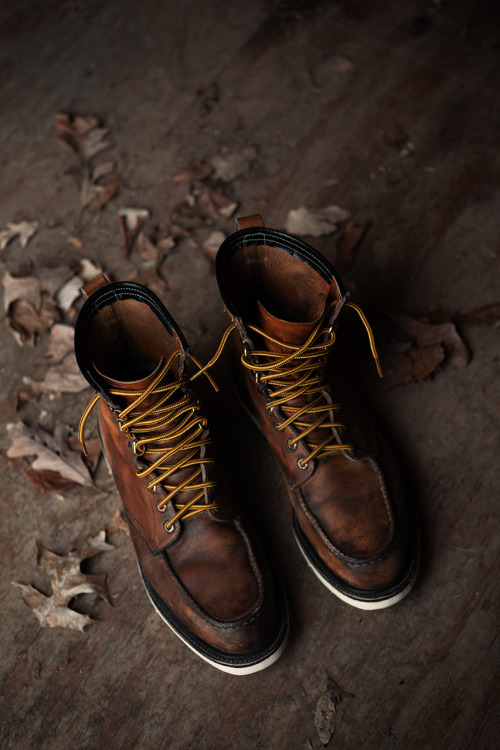 eternalyouthco: Irish Setter Boots