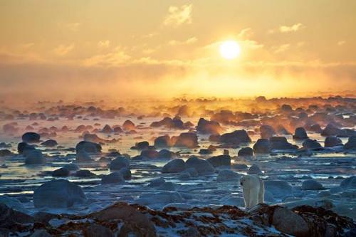 Frozen sunrise (Seal River, Manitoba) adult photos