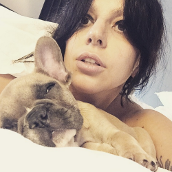 Ladyxgaga: @Ladygaga: Mommy And Koji Missing Baby Asia