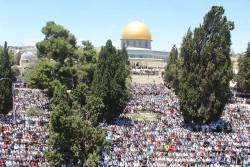 pxlestine:  200,000 Prayers in Al-aqsa today